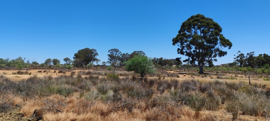 3 Bedroom Property for Sale in Hopefield Rural Western Cape